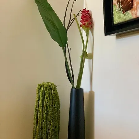 Seazimbra - Luxury Apartamento *